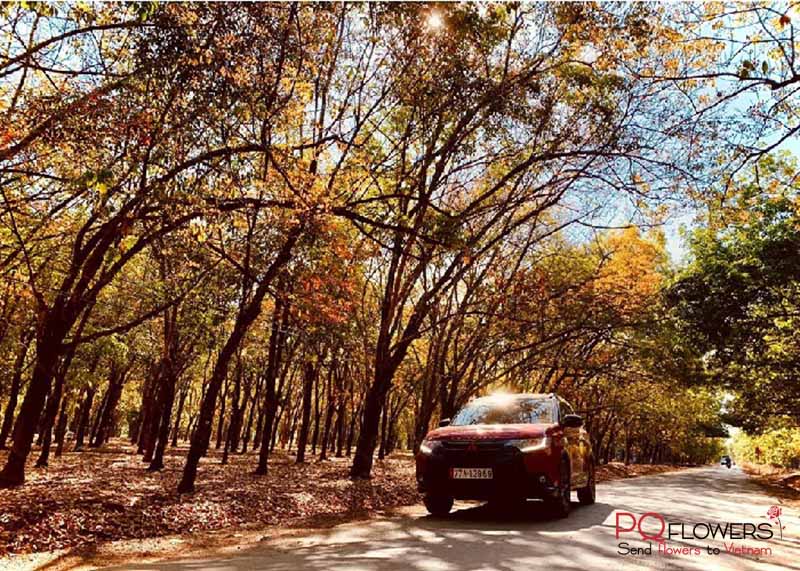binh-phuoc-flower-shop-vietnam-240421