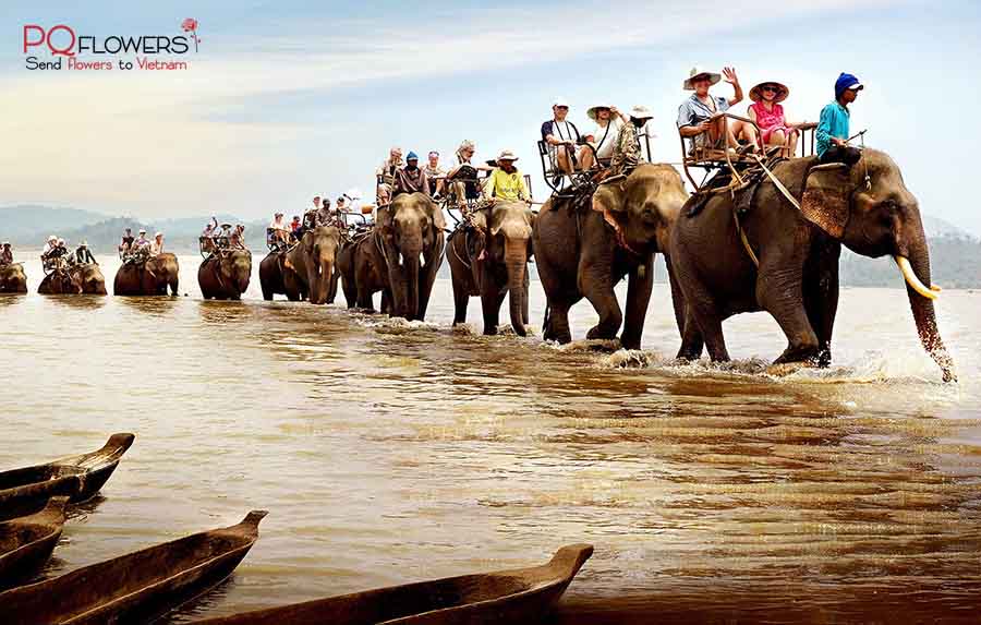 daklak-buon-ma-thuot-flower-shop-vietnam-100421