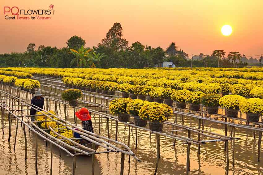 dong-thap-flower-shop